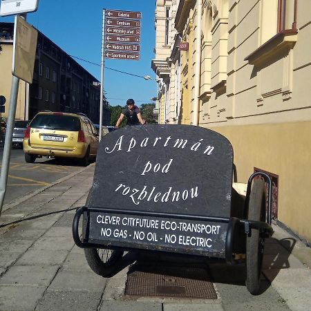 Apartman Pod Rozhlednou ロウドニツェ・ナト・ラベム エクステリア 写真