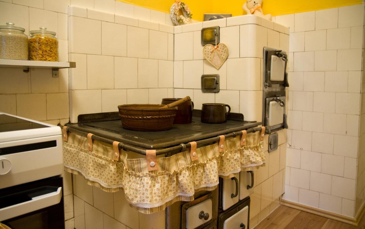 Apartman Pod Rozhlednou ロウドニツェ・ナト・ラベム エクステリア 写真